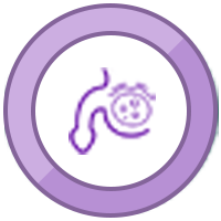 Prostate Cancer Treatment in Bangalore at Dr. Shiva Kumar Uppala